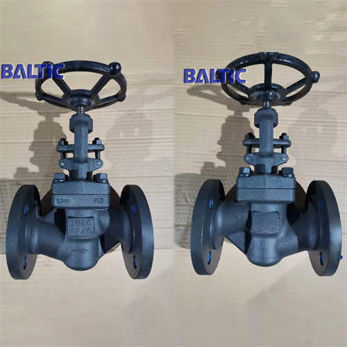 DN40 PN40 Globe Valve, Full Bore, 1.0460, DIN 3356, RF