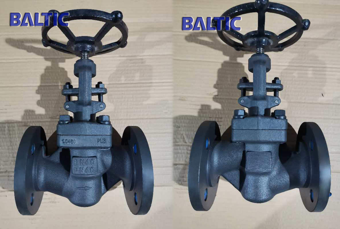 Forged Steel 1.0460 Globe Valve, S Type, DN50, PN40, RF - Baltic