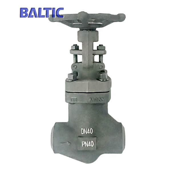 Forged Carbon Steel Globe Valve, ASTM A105N, DN40 PN40, BW, API 602