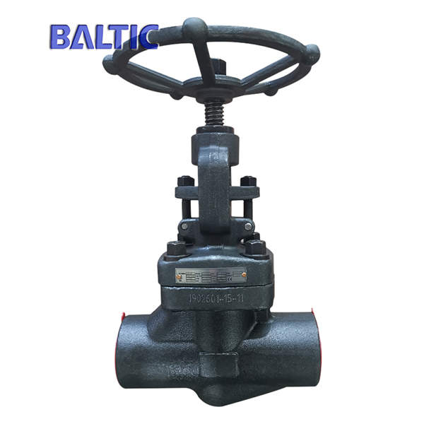 Full Bore Forged Globe Valve, A105N, 2 Inch, CL800, SW, API 602
