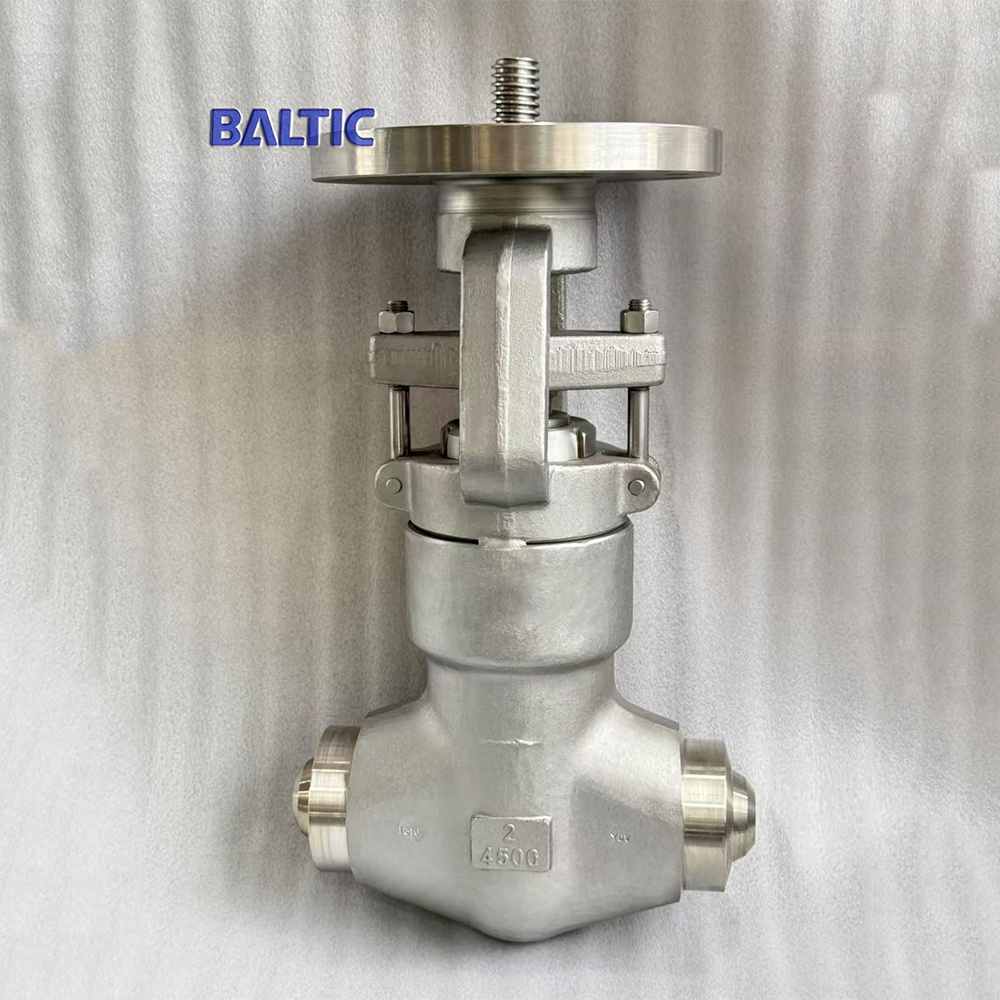 High Pressure Globe Valve, API 602, F316, 2 IN, 4500 LB, BW