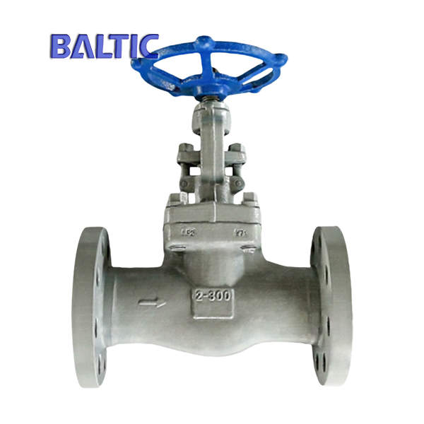 Integral Flanged End Globe Valve, A350 LF2, 2 Inch, 300 LB, RF