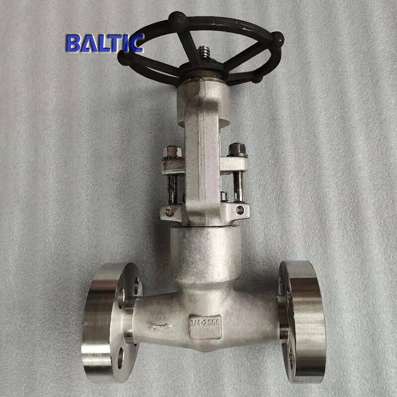 Integral Flanged Globe Valve, 3/4 IN, 2500 LB, API 602, F316