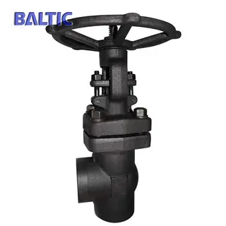 Socket Weld Angle Globe Valve, A105N, 1 Inch, 2500 LB, EN ISO 15761