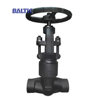 Pressure Seal Bonnet Globe Valve, A182 F11, 3/4IN, CL2500, BW