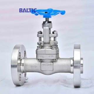 3/4 Inch Globe Valve, 600 LB, API 602, ASTM A182 F316, RF