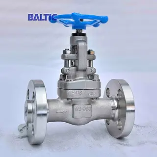 API 602 Globe Valve, 1/2 Inch, 600 LB, ASTM A182 F316, RF