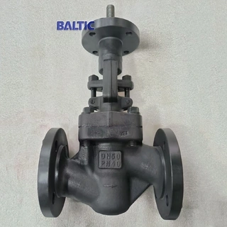 DIN 3356 Globe Valve, ASTM A105N, DN50, PN40, Full Bore, RF