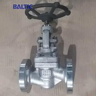 DN25 PN40 Globe Valve, ASTM A182 F316, ISO 15761, RF