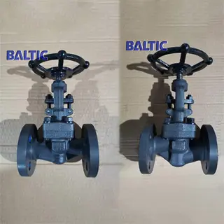 S Type Full Bore Globe Valve, 1.0460, DN15, PN40, RF Flange