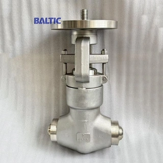 High Pressure Globe Valve, API 602, F316, 2 IN, 4500 LB, BW