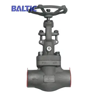 ASTM A182 F11 Forged Globe Valve, DN40, PN100, BW, DIN, API 602