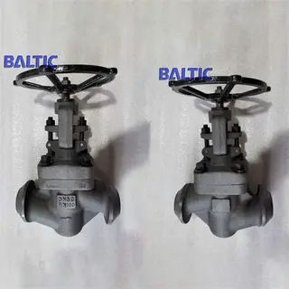 1.0460 S-Type Globe Valve, DN50, PN100, DIN 3356, BW