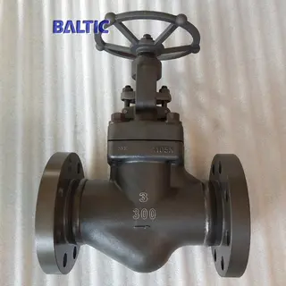 ASTM A105N Globe Valve, 3 Inch, 300 LB, API 602, RF