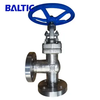 ASTM A182 F316L Angle Pattern Globe Valve, DN40, PN250, RTJ