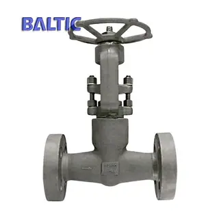 Pressure Seal Bonnet Globe Valve, ASTM A105N, 1 Inch, 2500 LB, RF