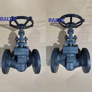 DN40 PN40 Globe Valve, Full Bore, 1.0460, DIN 3356, RF