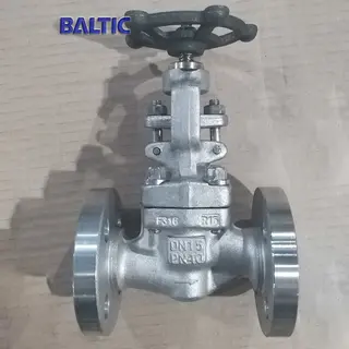 DN15 Globe Valve, ASTM A182 F316, PN40, ISO 15761, RF