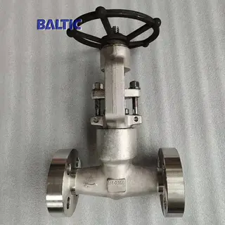 Integral Flanged Globe Valve, 3/4 IN, 2500 LB, API 602, F316