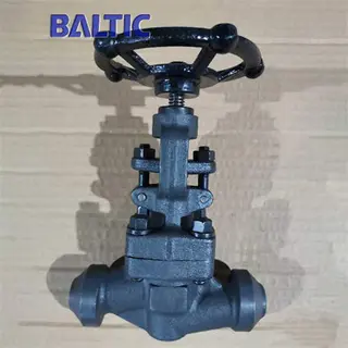 DIN 3356 Full Bore Globe Valve, S Type,1.0460, DN15, PN16, BW