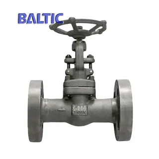 API 602 Forged Steel Globe Valve, ASTM A105N, 1 Inch, 900 LB, RF