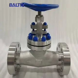 2 Inch Globe Valve, API 602, ASTM A182 F316, 900 LB, RF