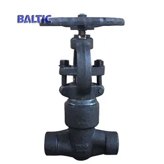 API 602 Reduce Bore Globe Valve, A105N, DN15, PN420, BW Ends