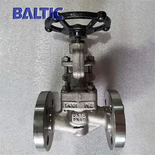 1.4301 S Globe Valve, DN15, PN40, DIN 3356, RF Flange