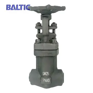 Bellows Seal Globe Valve, ASTM A105N, DN25, PN40, BW Ends, API 602