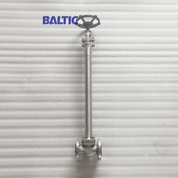 RF Forged Steel Globe Valve, F316, 1 Inch, 150 LB, Extension Stem