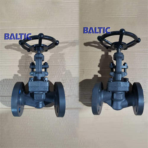 S Type Full Bore Globe Valve, 1.0460, DN15, PN40, RF Flange