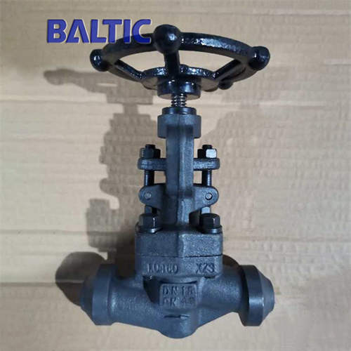 S Type Globe Valve, 1.0460, DN15, PN40, DIN 3356, BW