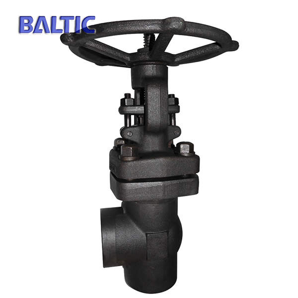 Socket Weld Angle Globe Valve, A105N, 1 Inch, 2500 LB, EN ISO 15761