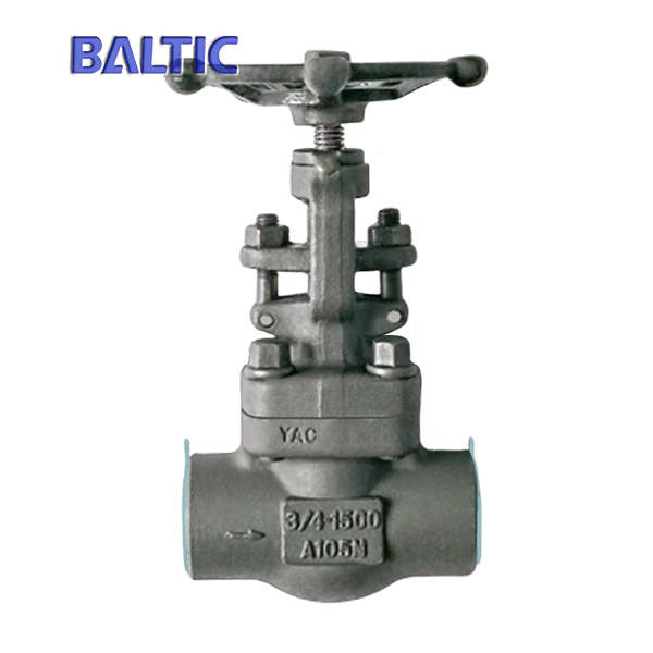 SW Ends Forged Steel Globe Valve, ASTM A105N, 3/4 Inch, Class 1500