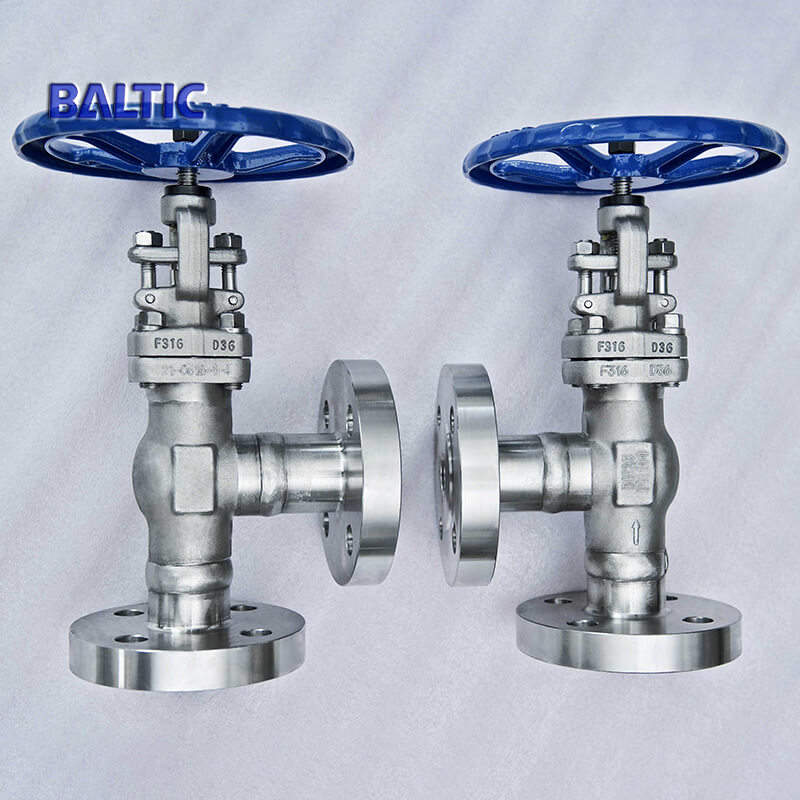 Welded Flange End Angle Globe Valve, A182 F316, DN25, PN100, RF