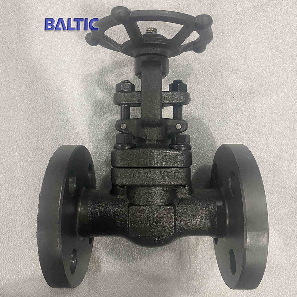 1 Inch Gate Valve, API 602, ASTM A105N, 300 LB, Flanged Ends