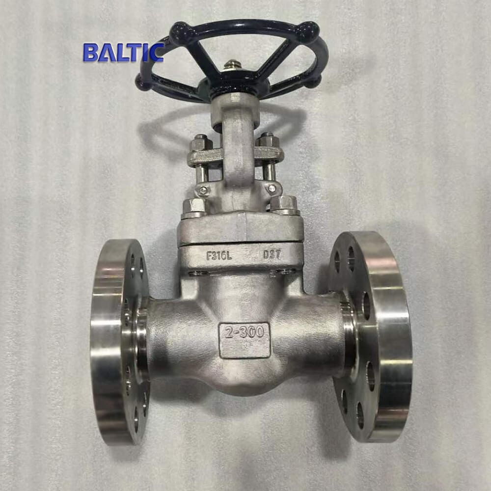 2 Inch Gate Valves, API 602, Stainless Steel F316L, 300 LB