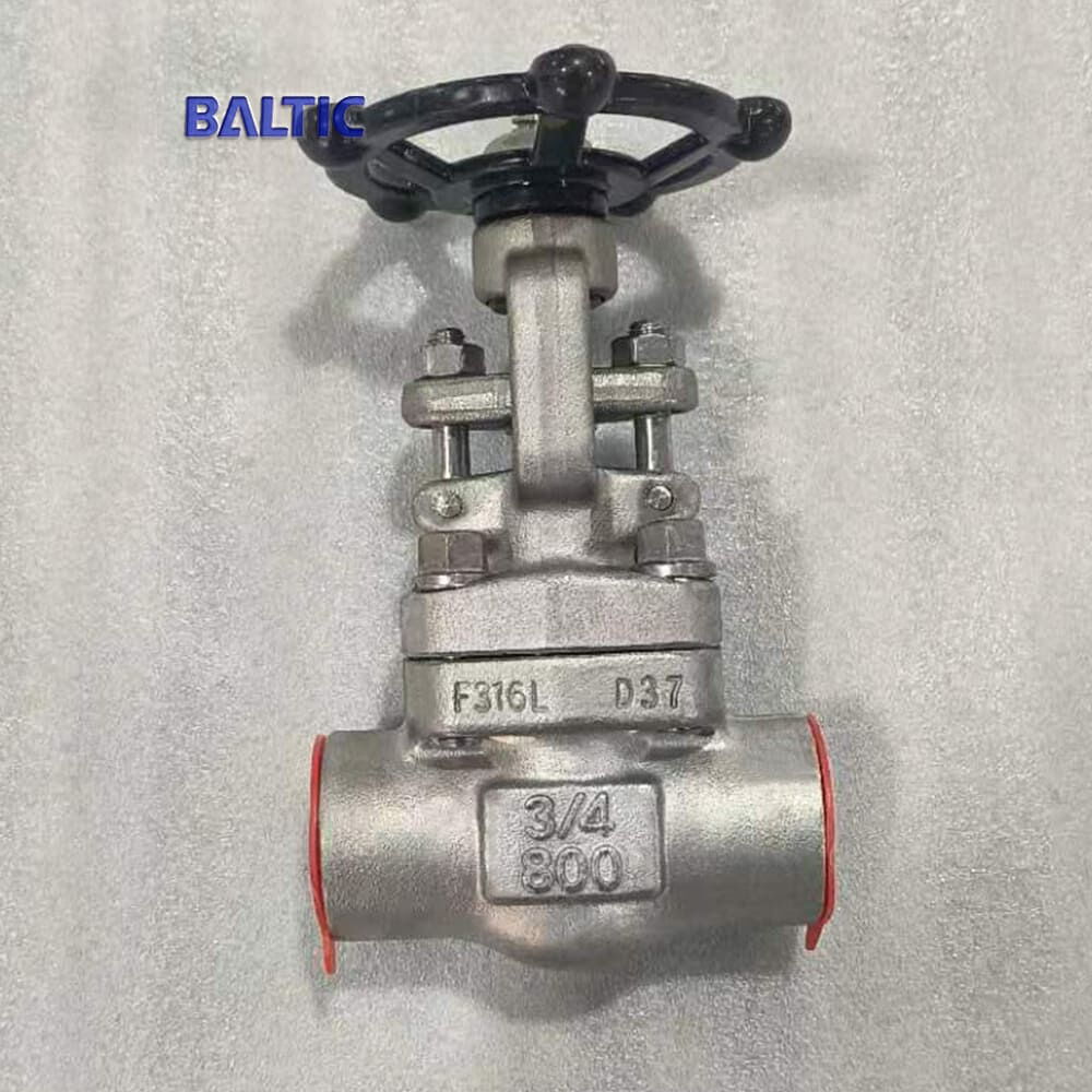3/4 Inch Gate Valve, API 602, A182 F316L, CL800, Reduced Bore