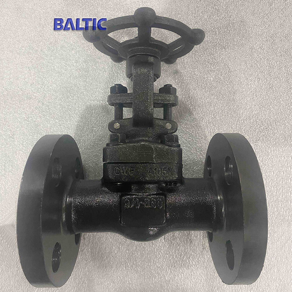 3/4 Inch Gate Valve, API 602, Carbon Steel ASTM A105N, CL300