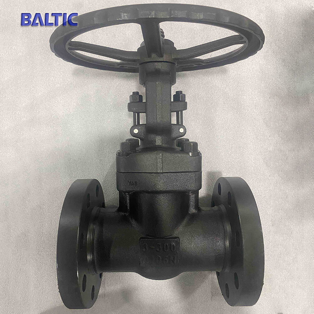 3 Inch Gate Valves, API 602, Carbon Steel ASTM A105N, 300 LB