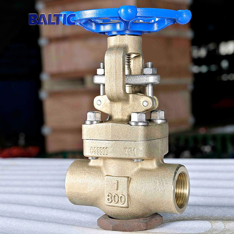 1 Inch 800 LB Gate Valve, ASTM B148 C95800, API 602, NPT