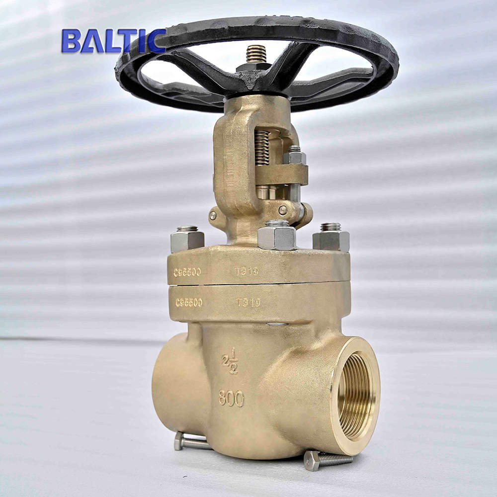 2-1/2 Inch 800 LB Gate Valve, B148 C95500, API 602, NPT