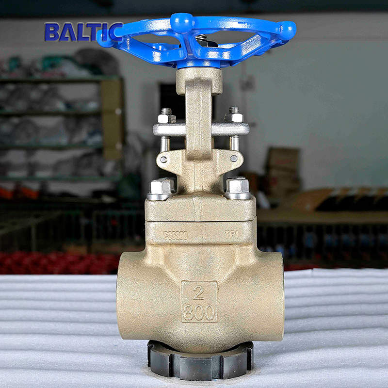 2 Inch 800 LB Gate Valve, API 602, ASTM B148 C95800