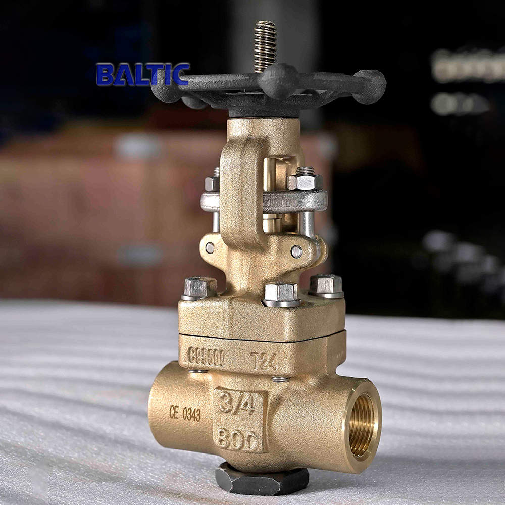 API 602 Gate Valve, 3/4 Inch, 800 LB, NPT, ASTM B148 C95500