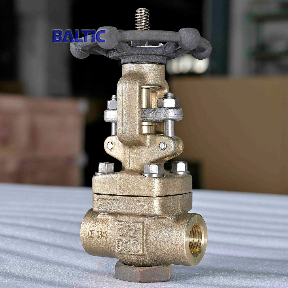 ASTM B148 C95500 Gate Valve, 1/2 Inch, 800 LB, API 602, NPT
