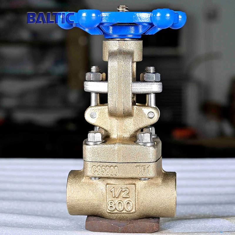 ASTM B148 C95800 Gate Valve, 1/2 Inch, 800 LB, API 602, NPT