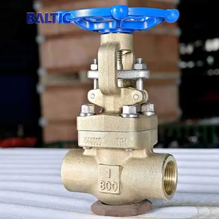 1 Inch 800 LB Gate Valve, ASTM B148 C95800, API 602, NPT