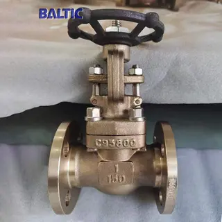 1 Inch 150 LB Gate Valve, API 602, ASTM B148 C95800, RF
