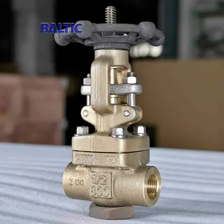 ASTM B148 C95500 Gate Valve, 1/2 Inch, 800 LB, API 602, NPT