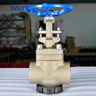 2 Inch 800 LB Gate Valve, API 602, ASTM B148 C95800